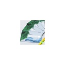 parex sponges[1*10pcs]