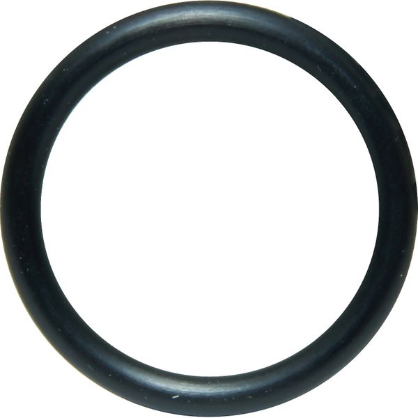 [ SP2000-12] O-RING