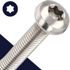 [700205] Rounded Torx Head Screw (4 x 30)